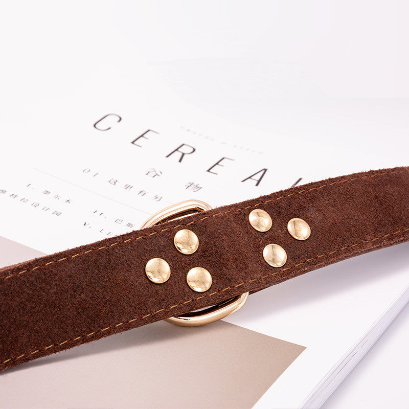 Hundehalsband verstellbar – 3 Grössen – Bild 2 | LuxeStyle