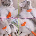Interaktive Katzenbürste mit Kratzfunktion