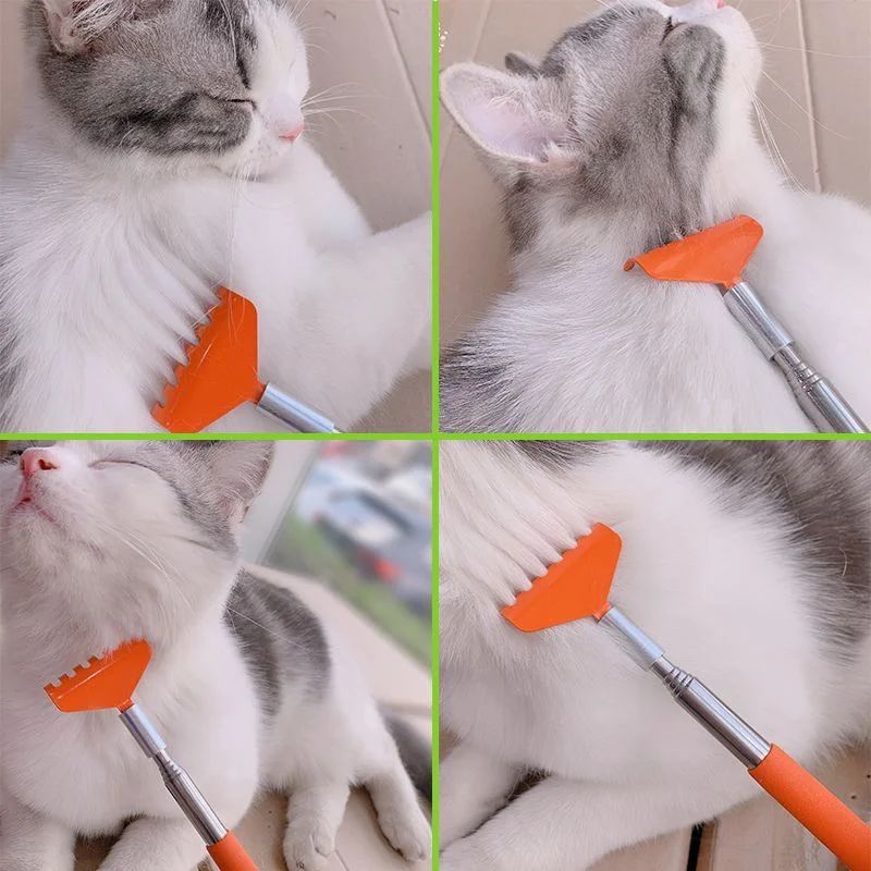 Interaktive Katzenbürste mit Kratzfunktion