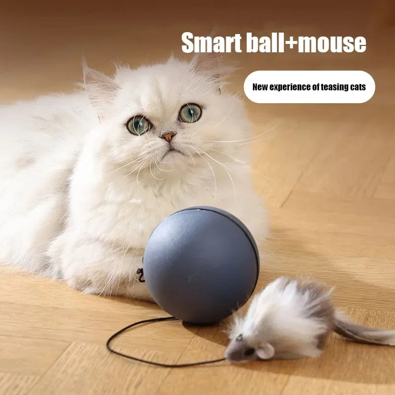 Maus Teaser Ball für Haustiere