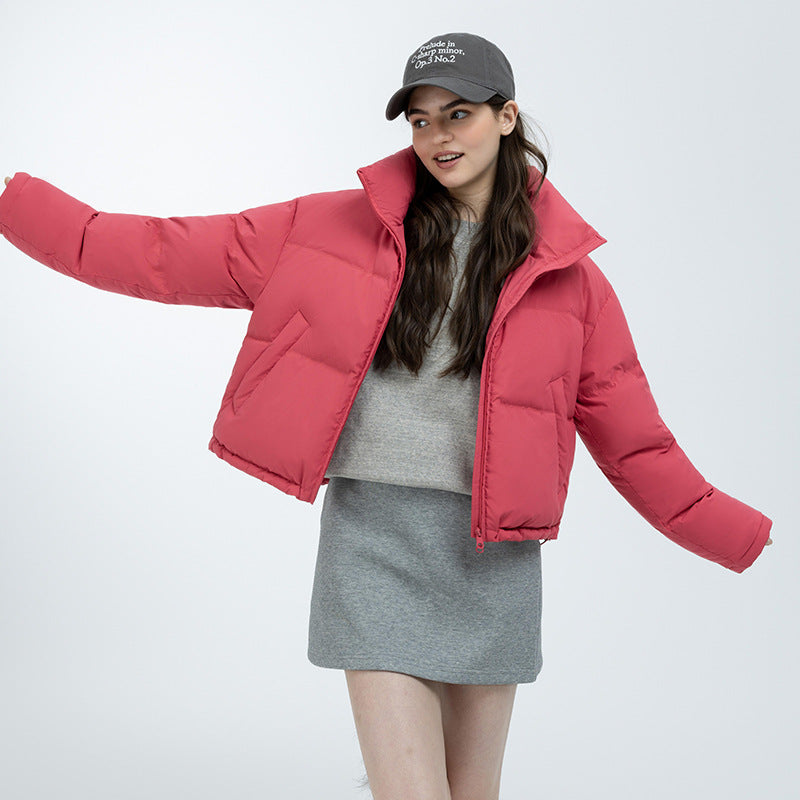 Kurze Daunenjacke mit Stehkragen – Bild 8 | LuxeStyle