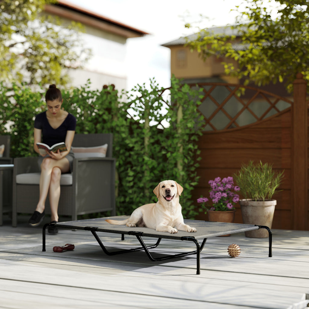 Erhöhtes Hundebett für grosse Hunde, Grau