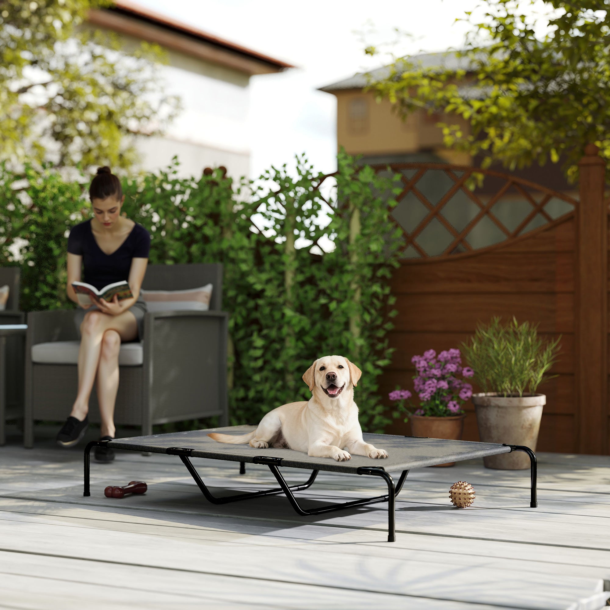 Erhöhtes Hundebett für grosse Hunde, Grau