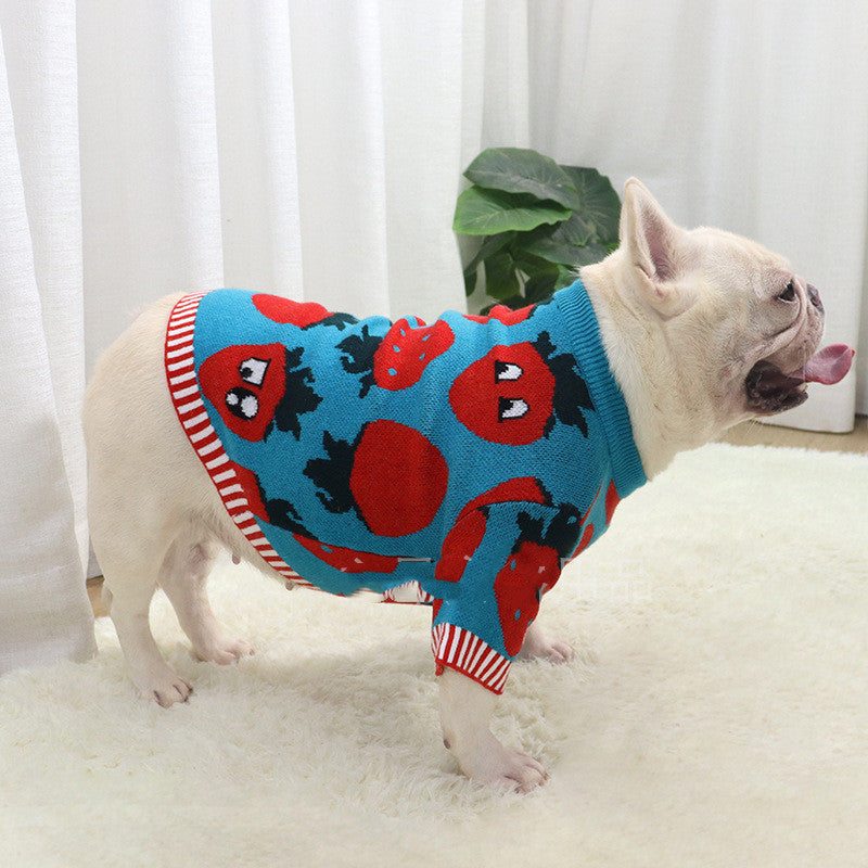 Hundemantel Erdbeer-Comic Kurz-Body blau – Bild 3 | LuxeStyle