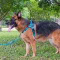 Leichtes Brustgeschirr mit Leine für Hunde – Bild 1 | LuxeStyle