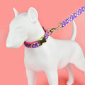 Doppelte Halskette mit Seilset für Katzen & Hunde – Bild 1 | LuxeStyle