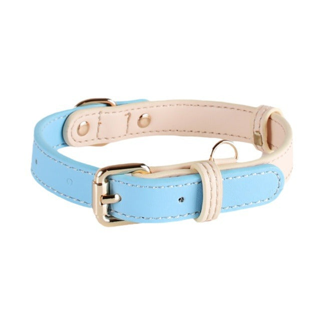 Lederhalsband für kleine bis mittelgrosse Hunde