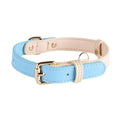 Lederhalsband für kleine bis mittelgrosse Hunde