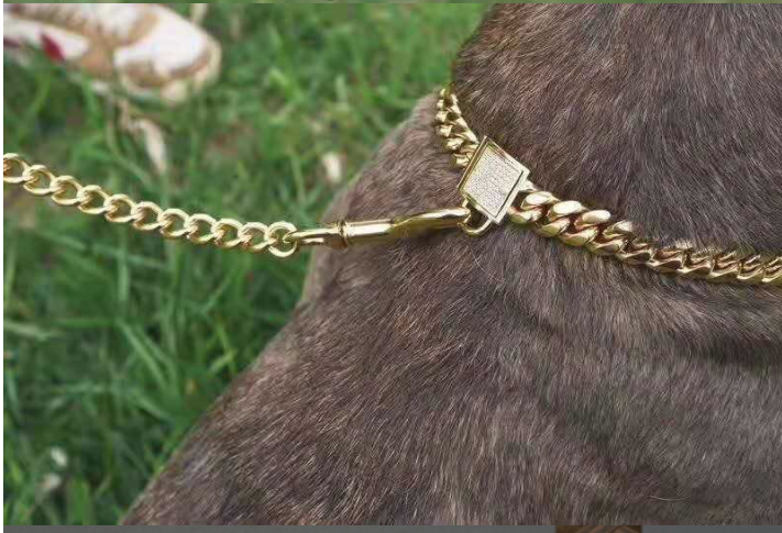 Halskette für Hunde, Edelstahl, Gold – Bild 6 | LuxeStyle