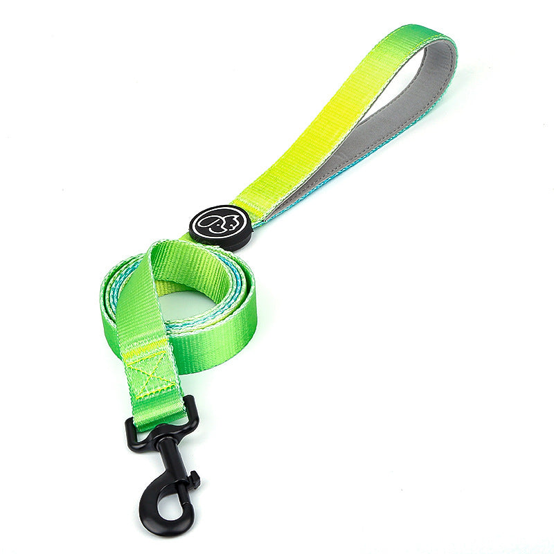 Hundehalsband und Leine für Samojeden – Bild 7 | LuxeStyle