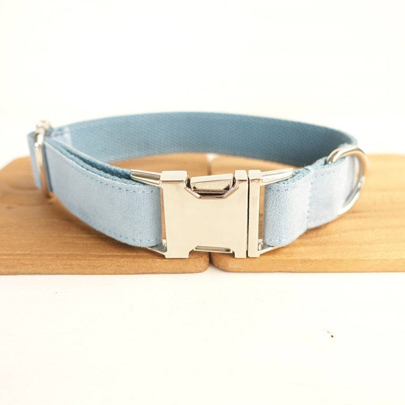 Halsband für Hunde, Samt, Himmelblau – Bild 4 | LuxeStyle