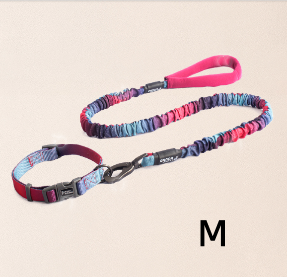 Halsband mit Buchstabenmuster für Hunde – Bild 7 | LuxeStyle
