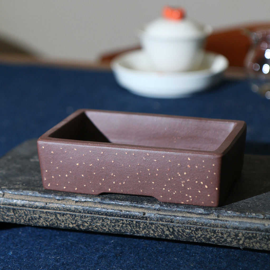 Keramik Mini-Bonsai Desktop-Topf – Bild 6 | LuxeStyle