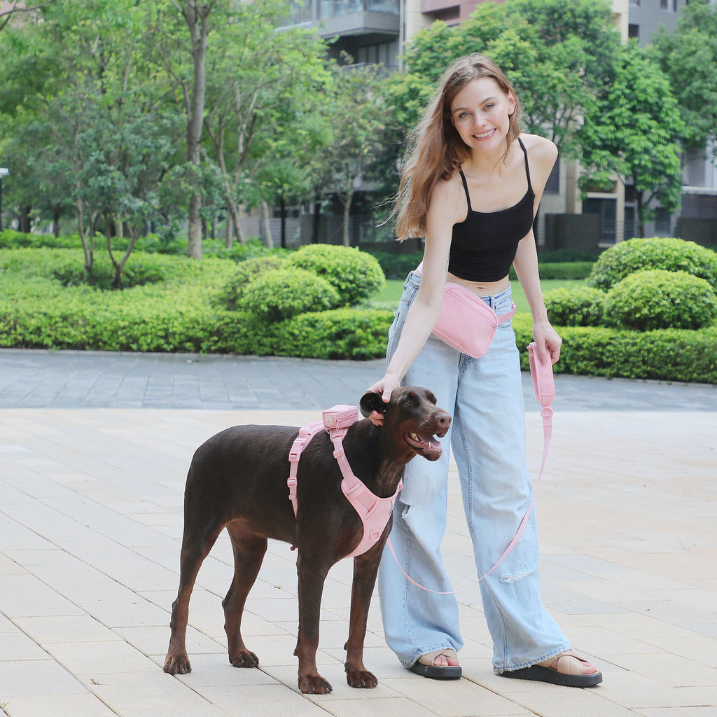 Hundegeschirr-Set aus Cord, Rosa – Bild 9 | LuxeStyle