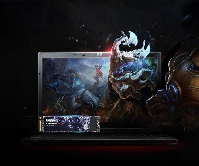 Interne M.2 NVMe SSD für Laptops