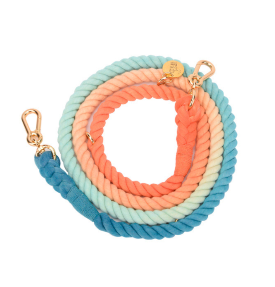 Multifunktionale Regenbogen-Hundeleine – Bild 2 | LuxeStyle