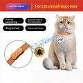 Katzenhalsband mit GPS