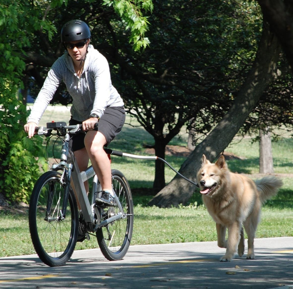 Fahrrad-Hundeleine mit Haltegriff – Bild 6 | LuxeStyle