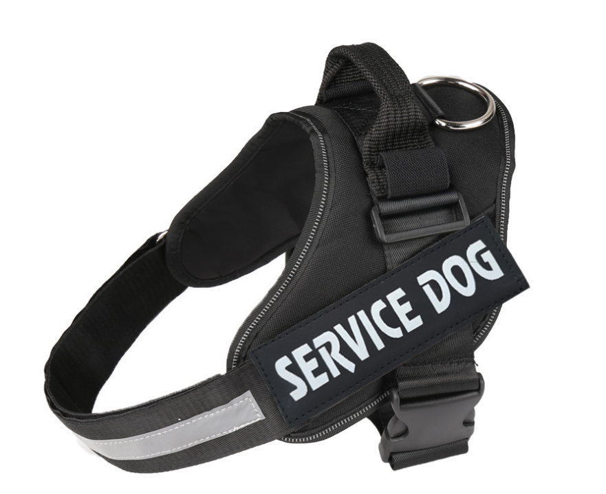 Halsband mit Brusttasche für Hunde – Bild 12 | LuxeStyle