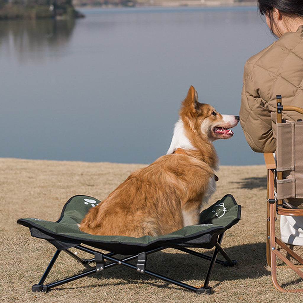 Outdoor Faltbett für Haustiere
