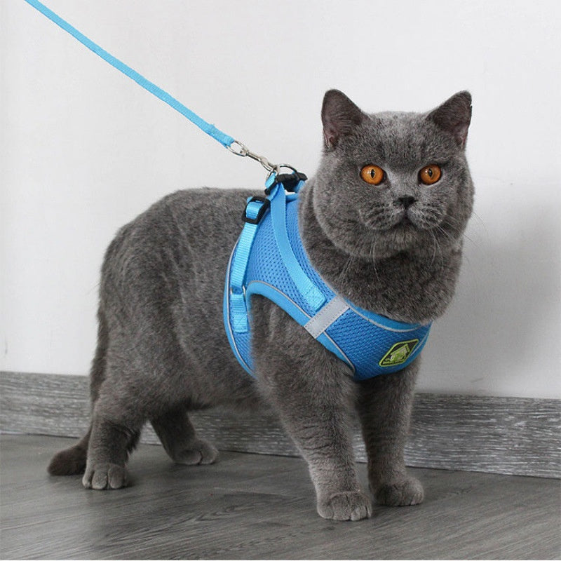 Atmungsaktive Katzenleine mit Fluchtsicherung