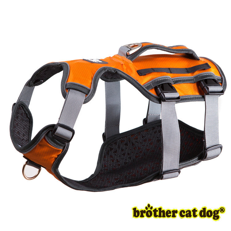 Hunde-Thorakolumbal-Band – Bild 2 | LuxeStyle