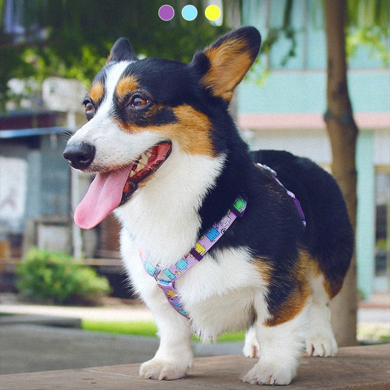 I-Shape Traktionsgeschirr für Hunde – Bild 2 | LuxeStyle