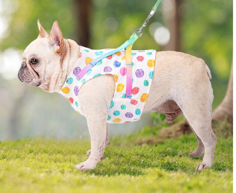 Brustgeschirr für kleine bis mittelgrosse Hunde – Bild 9 | LuxeStyle