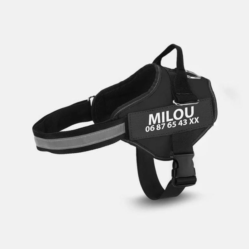 Mehrfarbiger Hundehalsband mit Zugseil – Bild 5 | LuxeStyle