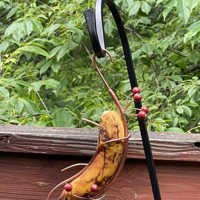 Schmetterlingsfutterstation «Banana Hammock»
