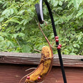 Schmetterlingsfutterstation «Banana Hammock»