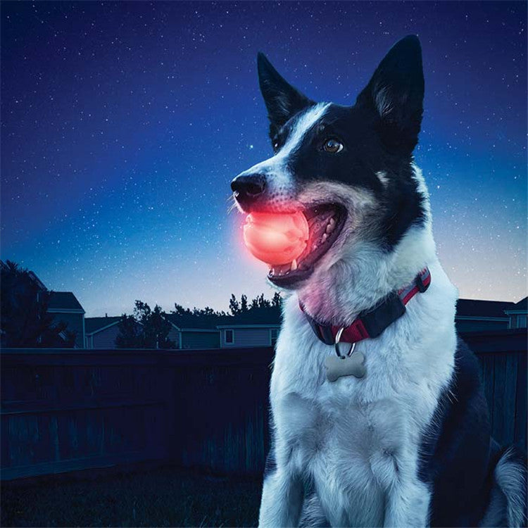 Leuchtender Beissball für Hunde – Bild 2 | LuxeStyle