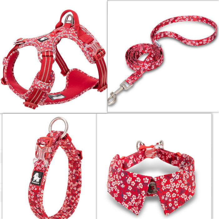Halsband mit Fliege für Hunde – Bild 2 | LuxeStyle
