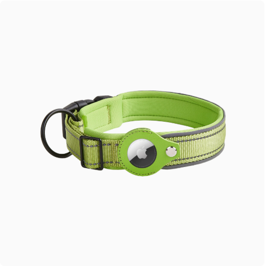 Reflektierendes Nylon-Halsband, verstellbar
