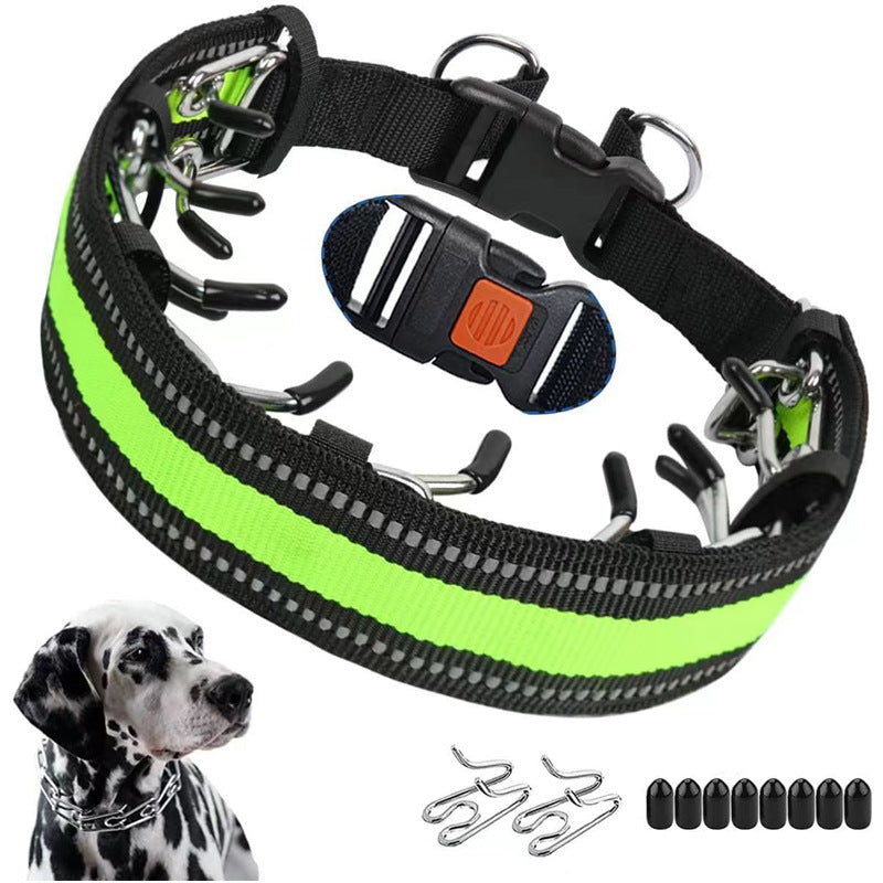 Sichere Hundehalsband mit Stimulationskette