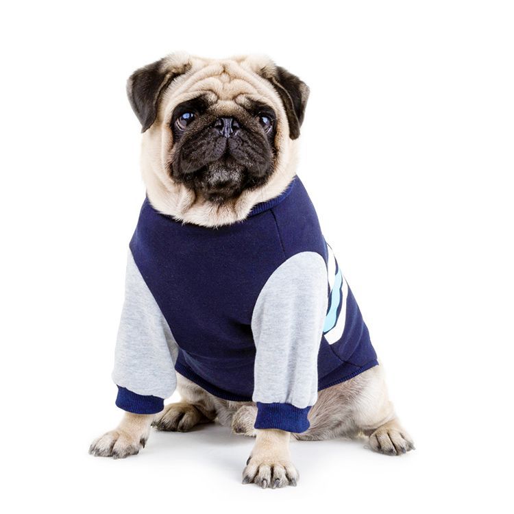 Hundewärmer Sweatshirt aus Baumwolle – Bild 4 | LuxeStyle