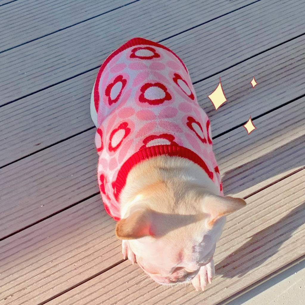 Hundemantel Jacquard Herbst/Winter Rot – Bild 5 | LuxeStyle