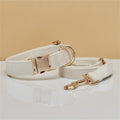 Samt-Hundehalsband mit Leine und Schleife | LuxeStyle