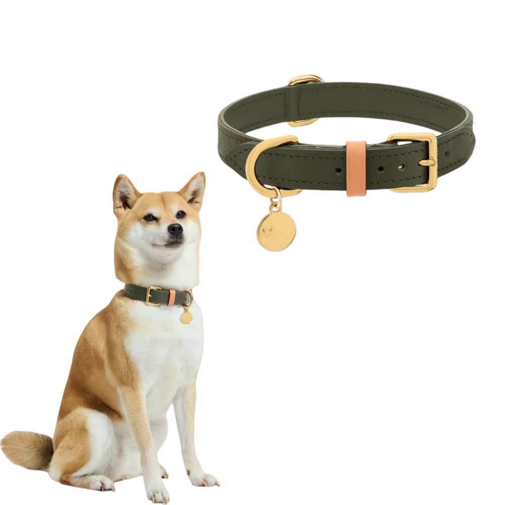 Lederhalsband für Haustiere