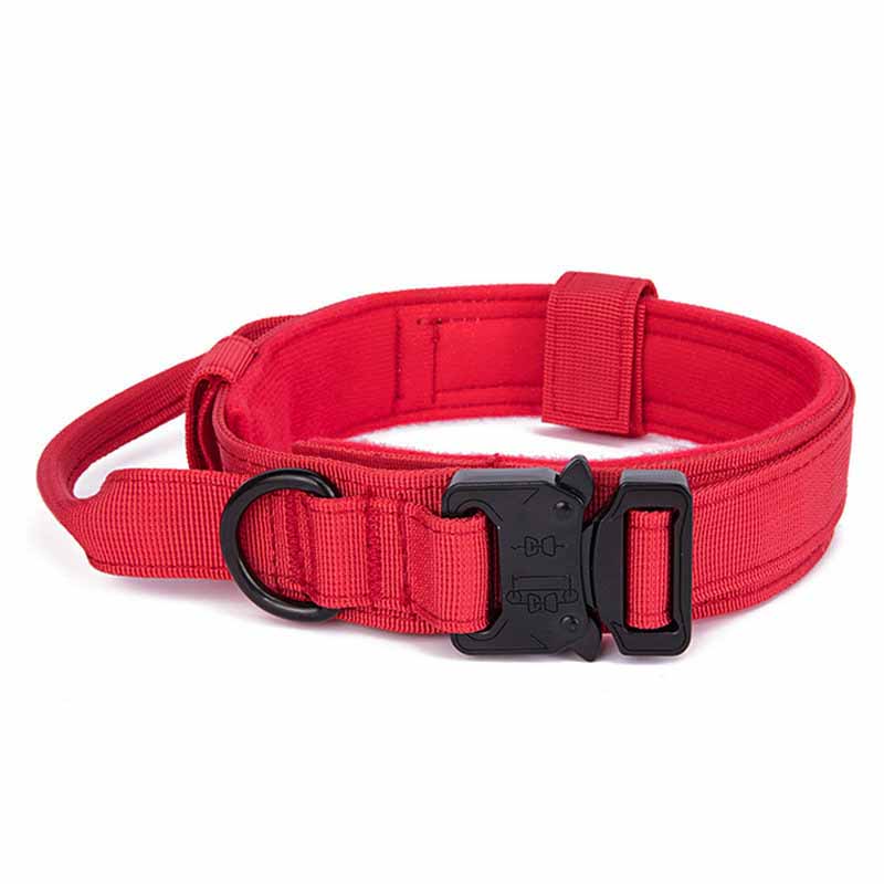 Hundekragen mit Stahlbügel – Bild 7 | LuxeStyle