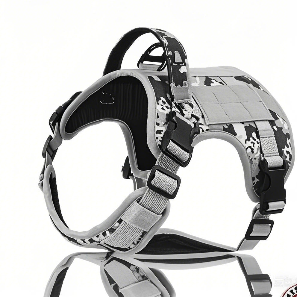 Taktisches Hundehalsband
