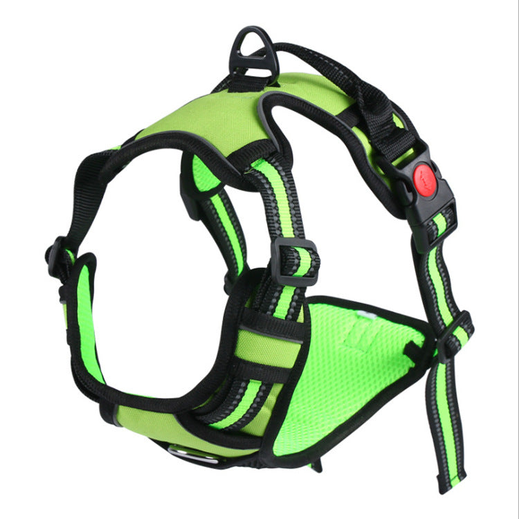 Sichere Hundeleine mit Reflektor