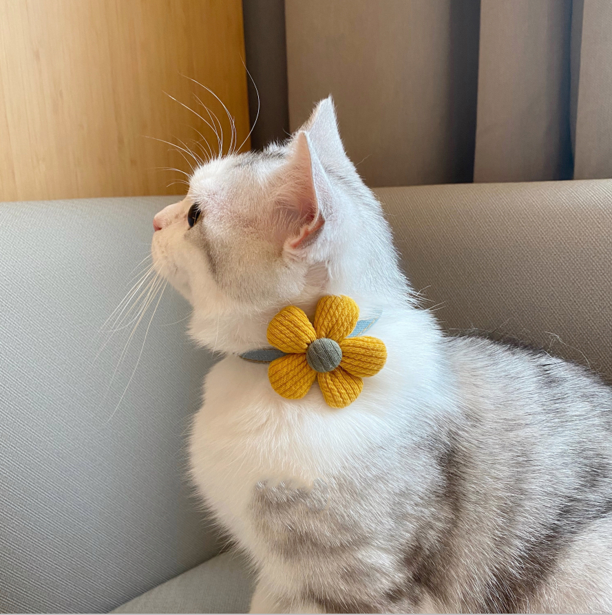 Halsband mit Blumen-Fliege für Katzen – Bild 4 | LuxeStyle