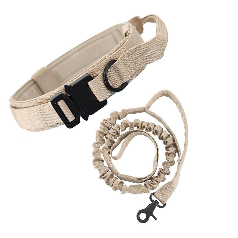 Personalisiertes taktisches Hundehalsband | LuxeStyle