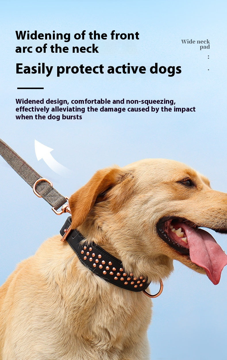 Hundehalsband – Bild 4 | LuxeStyle