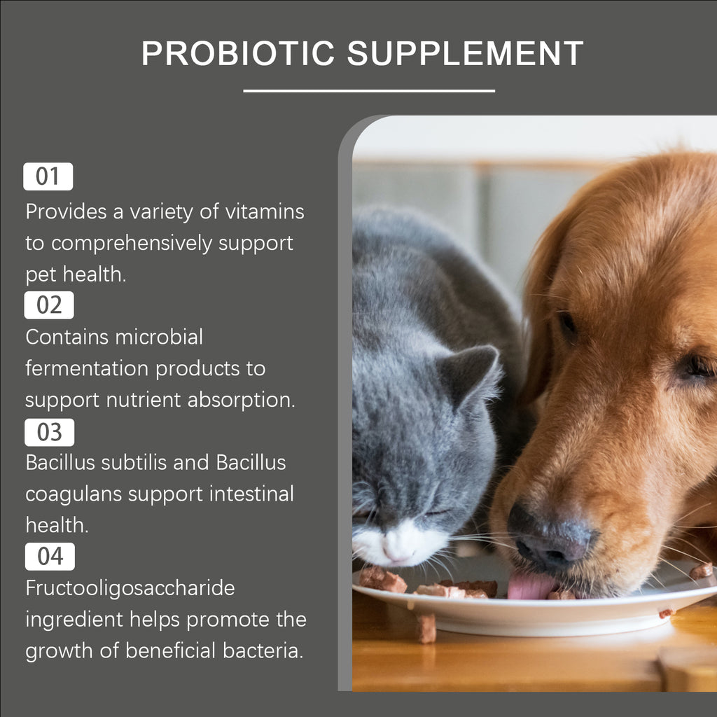 Probiotika-Tabletten