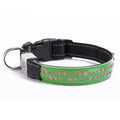 Blauer Nylon-Halsband mit Skull-Design – Bild 1 | LuxeStyle
