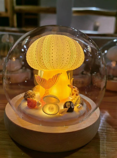 Nachtlicht Seeigel-Muschel | LuxeStyle