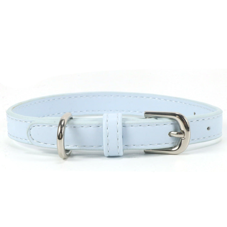 Halsband mit Zugseil für kleine bis mittelgrosse Hunde