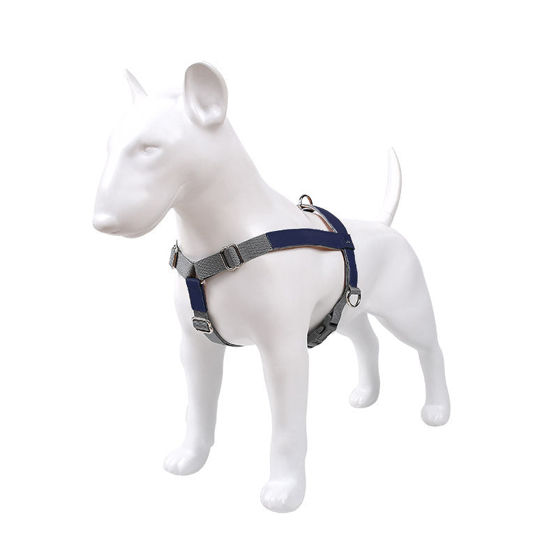 Hundegeschirr aus Leder mit Nylonleine – Bild 11 | LuxeStyle
